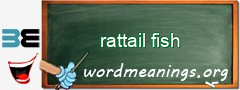 WordMeaning blackboard for rattail fish